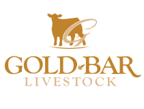 gold-bar-logo
